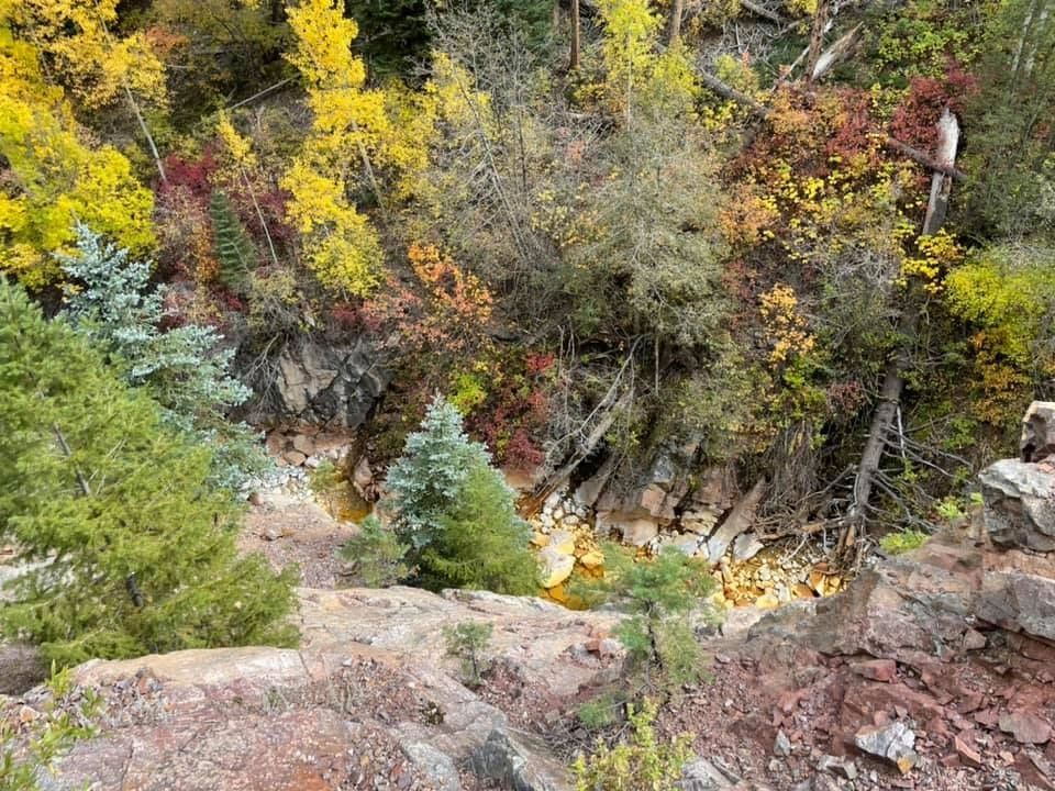 Dog-friendly yard beside the Uncompahgre River — Lumberyard Condos Ouray