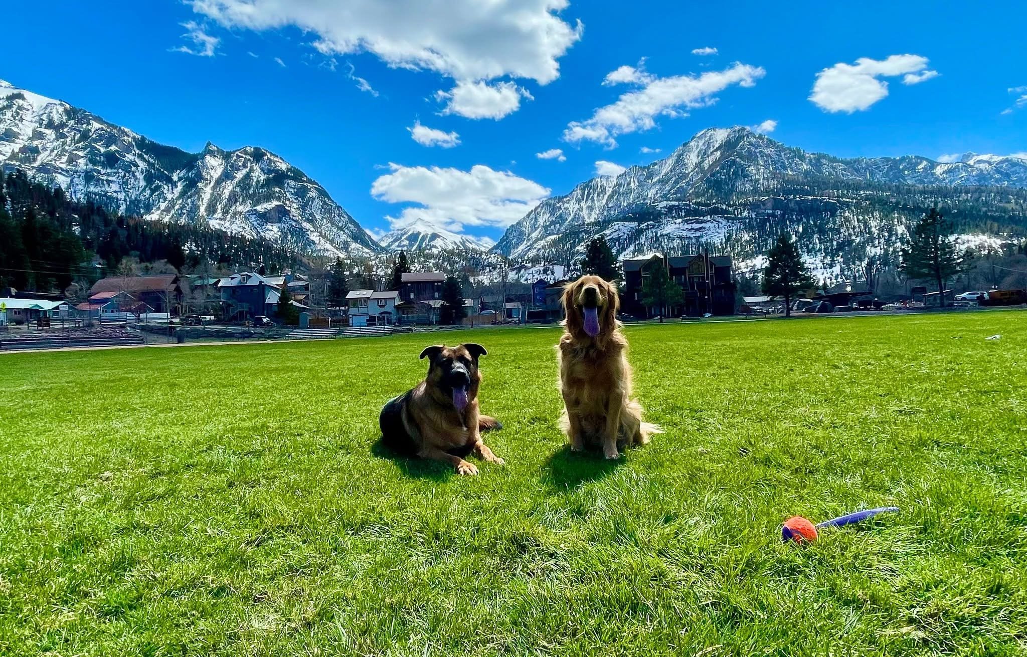 Dog-friendly condos in Ouray Colorado