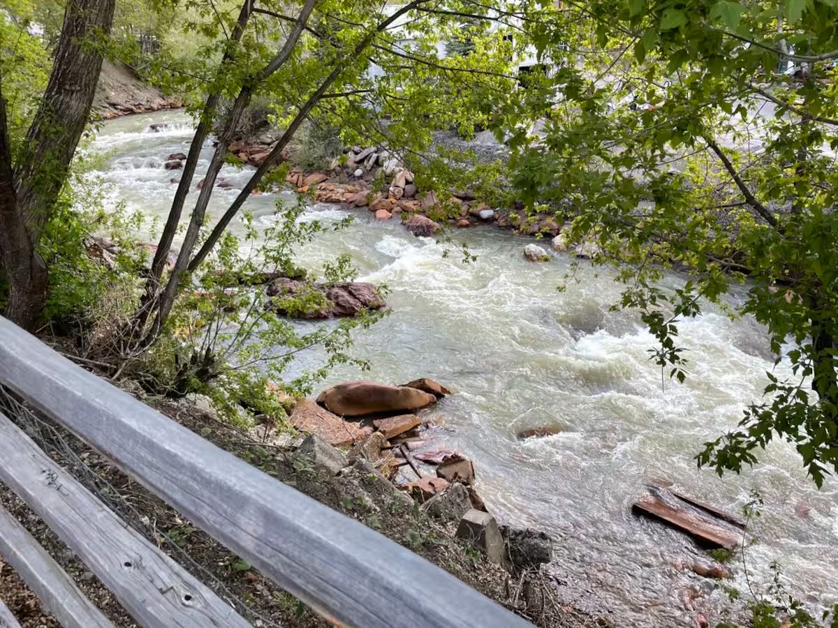 The Uncompahgre River running past the property, seen from the bank through the trees